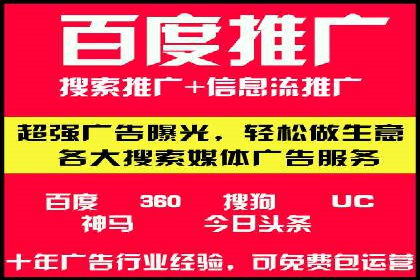 百度SEO推广案例：实战解析与优化建议